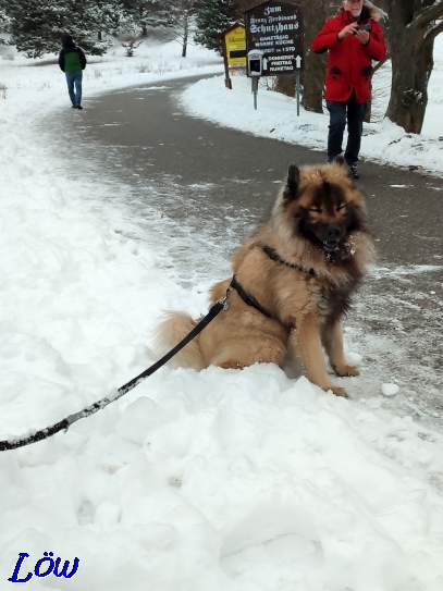 21.1.2023 - Dwix auf der Piste